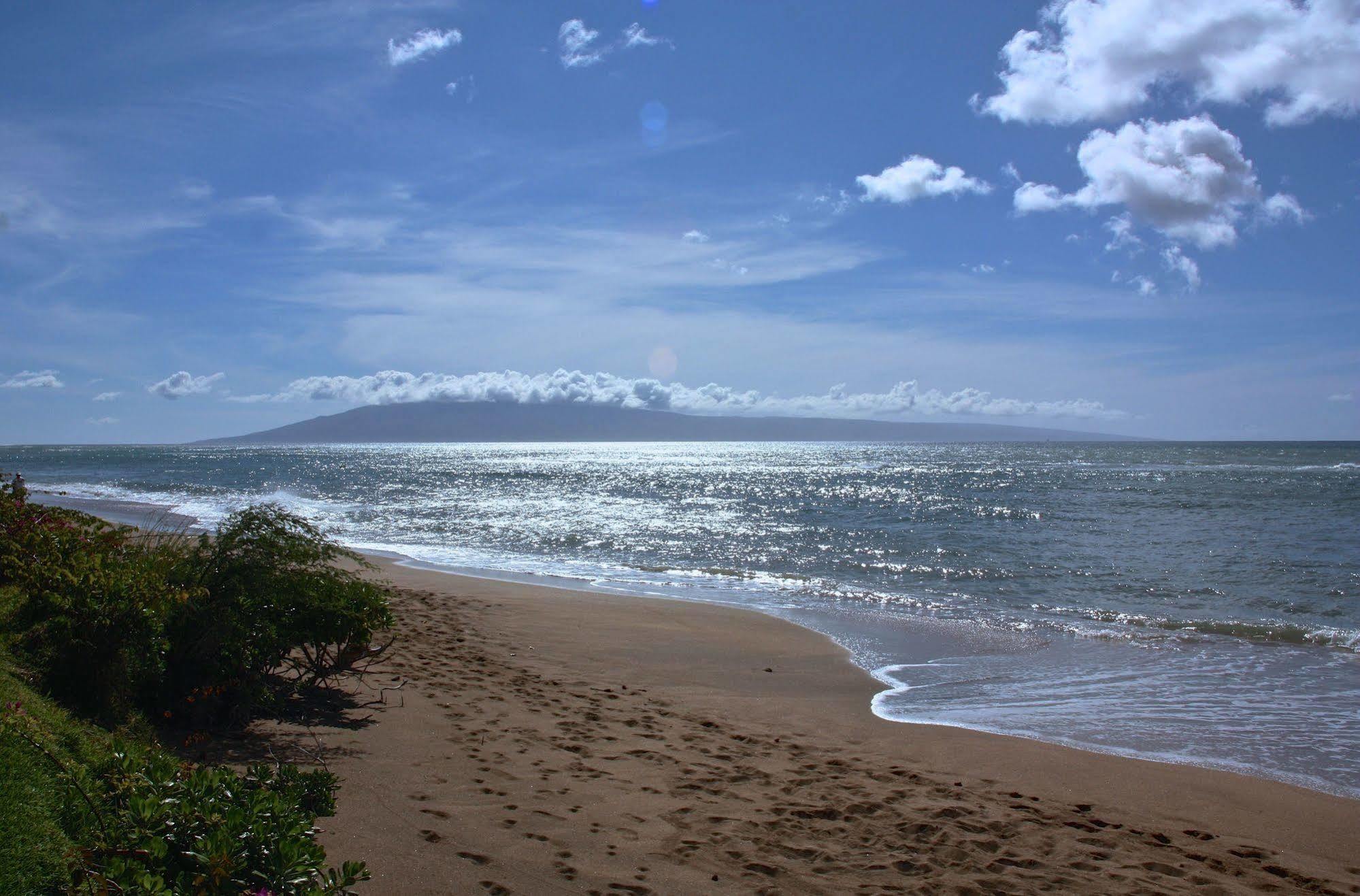 Ocean View Suite At Royal Kahana Kültér fotó